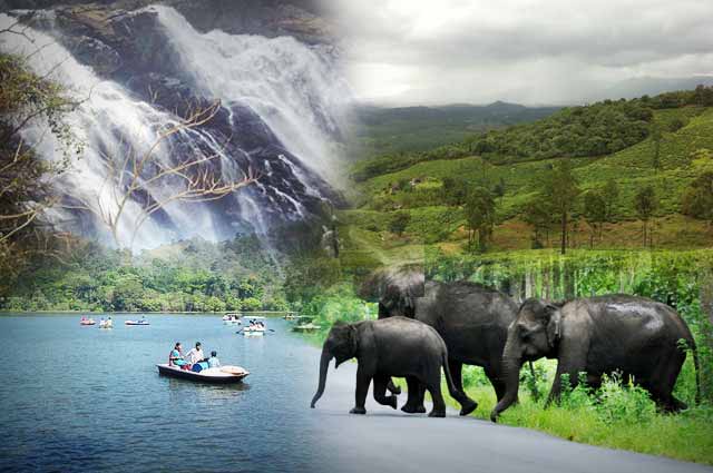 11-best-places-to-visit-in-wayanad-on-your-next-trip-20170407041139.jpg